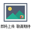 型号:ZRX-27610业次性温度记录仪